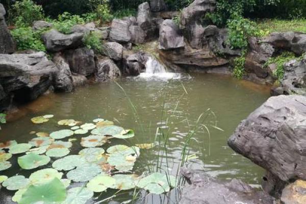 96涧下水命的配饰与风水解析：助你开启运势的新篇章