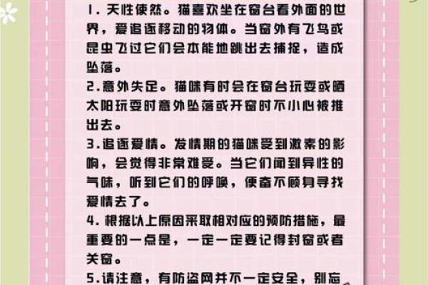 揭秘：为什么猫被称为“有九条命”的生肖？