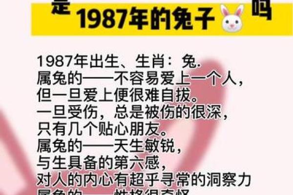 属兔人命格分析：揭示兔子的神秘命运与人生轨迹