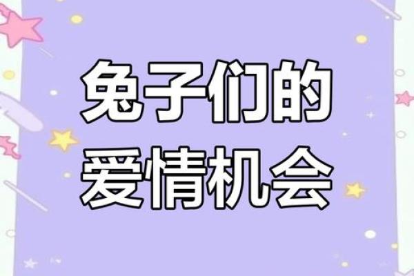 1987年属兔，命中注定的温柔与灵动之年
