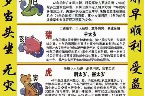 1993年的太岁命运解析：揭示你的潜力与方向