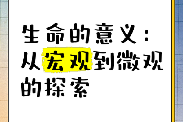 探索生命的意义：从日常小事中发现快乐的艺术