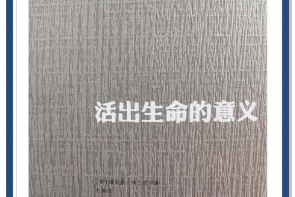 探索生命的意义：从日常小事中发现快乐的艺术