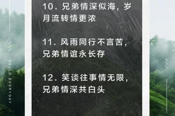 兄弟情深：解析“兄弟命”的深层含义与人生启示