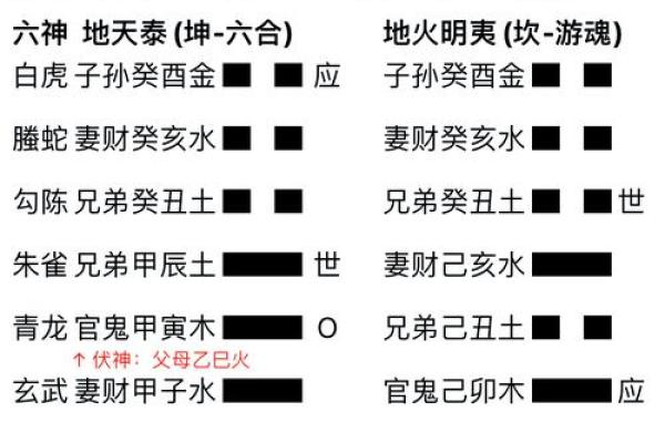 探索命卦与变卦：解读易经的奥秘与应用