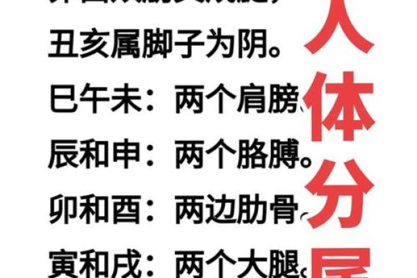 如何通过八字命理了解小孩的命运和个性发展