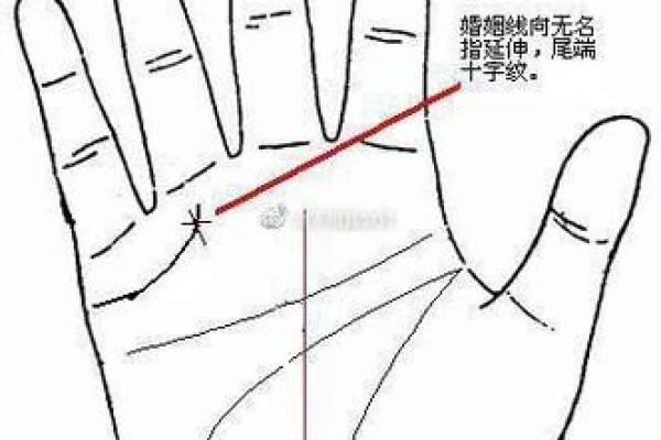 1998年的命理解析：情感与事业的双重启示