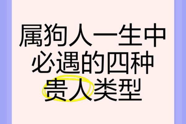 揭秘2006年属狗人的命格与性格特征