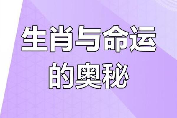 探秘14岁生肖：你的命运密码解析！