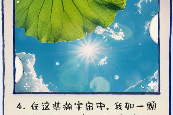 2002年出生的命运：解码未来的星辰与人生轨迹