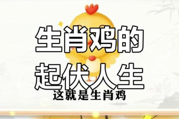 66岁属鸡男命运解析：一生的幸运与挑战