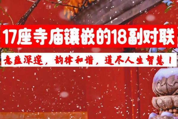 探寻1972年：金命的意蕴与人生启示