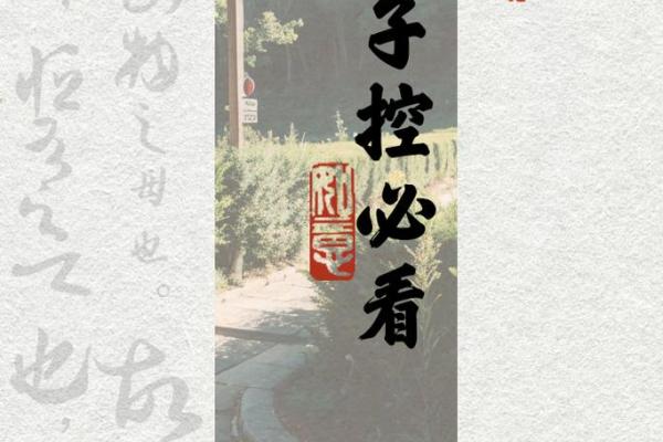 探寻“命头硬”的深意与人生启示