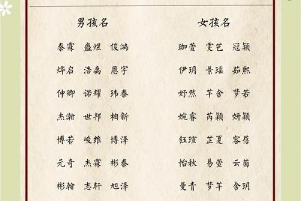 兔年男生命名指南：给兔宝宝选择幸运名字的艺术