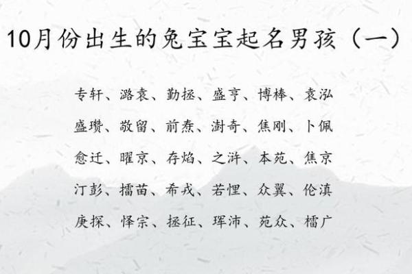 兔年男生命名指南：给兔宝宝选择幸运名字的艺术