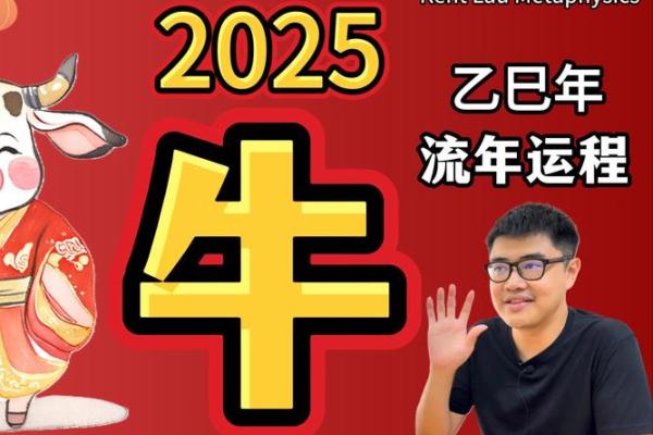1995年牛年：命运与性格的深度解析
