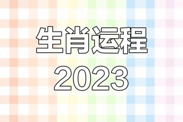 2023兔年命运解析：如何把握机会迎接飞跃人生