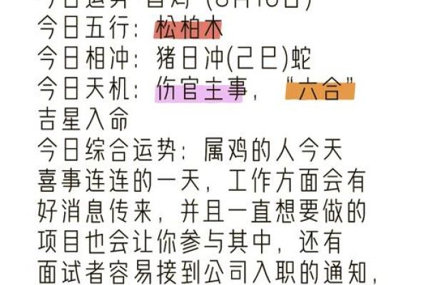 2006年鸡年运势解析：命运与性格的完美结合
