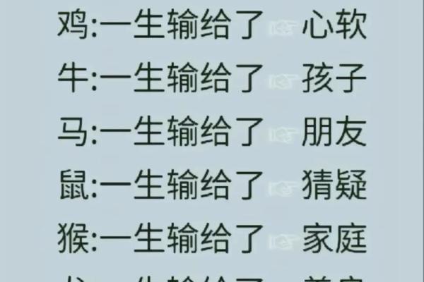 命夫妻的深意与生肖解析：揭示缘分与运势的奥妙