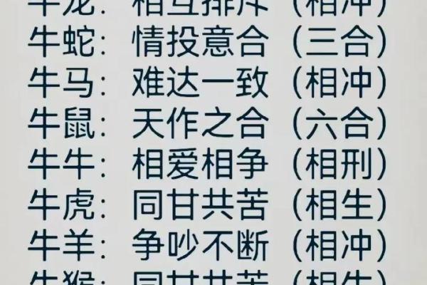 命夫妻的深意与生肖解析：揭示缘分与运势的奥妙