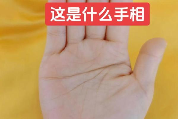 女人断掌纹的命运解析：揭秘掌纹背后的秘密与人生轨迹