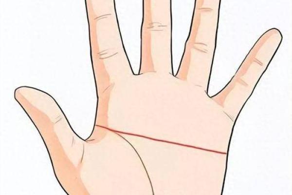 女人断掌纹的命运解析：揭秘掌纹背后的秘密与人生轨迹