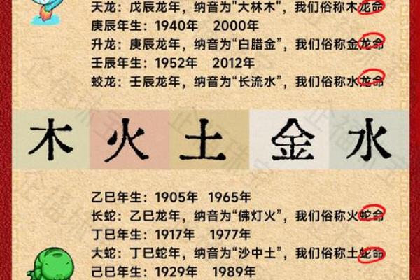 1964年属龙的命运与人生解析：勇者的旅途与智慧的积淀