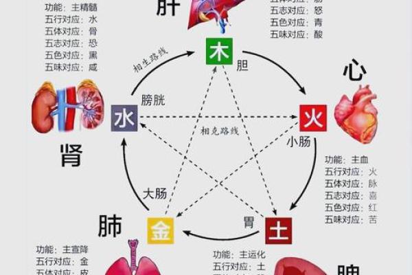 庚辰癸未己丑癸酉命理解析：命运中的五行奥秘与人生启示
