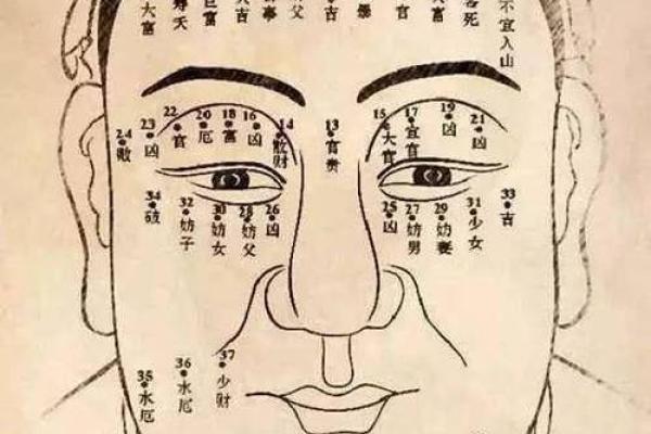 揭秘面相学：如何通过面相判断男人的富贵命运