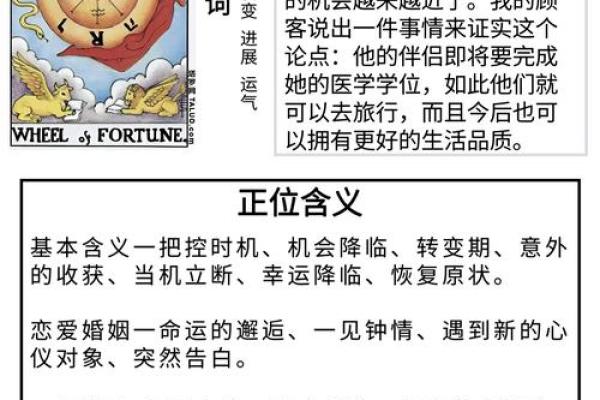 测你的命格与守护兽，揭开命运的神秘面纱！