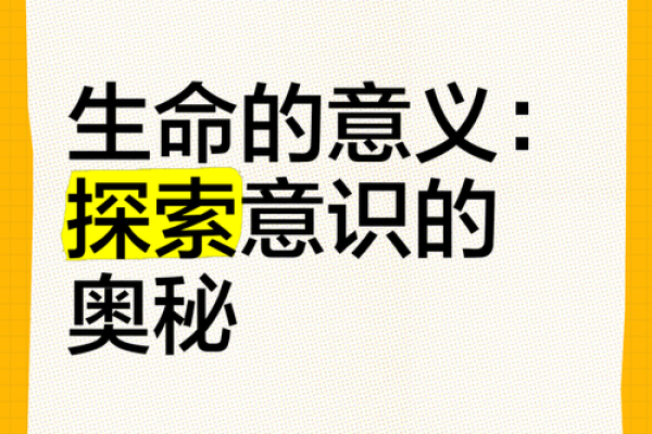 探秘“尽命”的深刻含义与生活启示