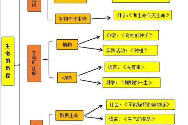 揭示7.2两的命运奥秘：找回生命的平衡与和谐