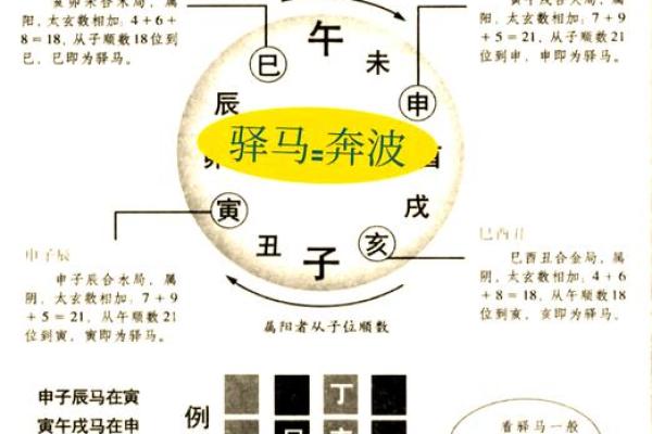 属马女孩的命运解析：申时出生的她们的独特人生轨迹