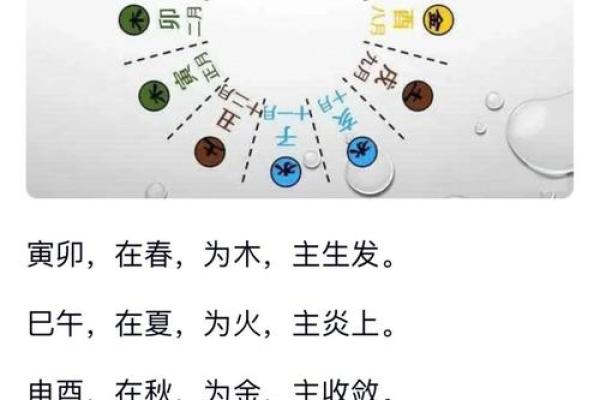 什么叫木命与土命？探究五行与命理哲学的奥秘