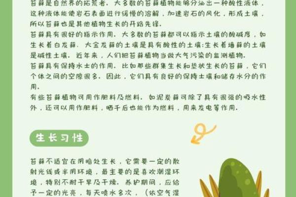 手骨骼突出与命运：揭开命理学中的神秘面纱