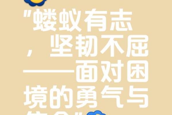 生命的价值：一条命与三条命的深刻思考