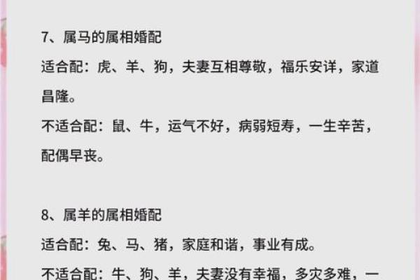 命理相克：如何通过生肖了解你的命运与运势