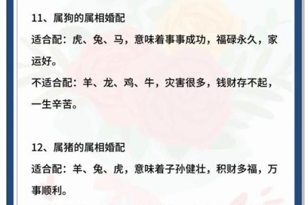 命理相克：如何通过生肖了解你的命运与运势