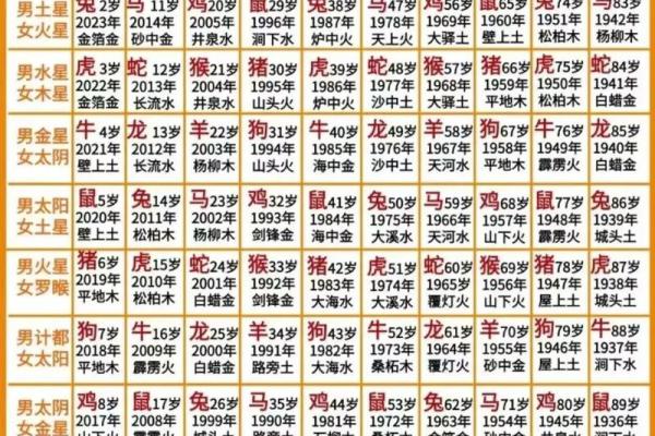 1997年农历正月出生的人命运分析与性格特征