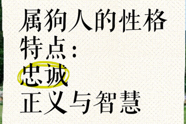 1982年出生的人：狗年命格的性格解析与生活智慧