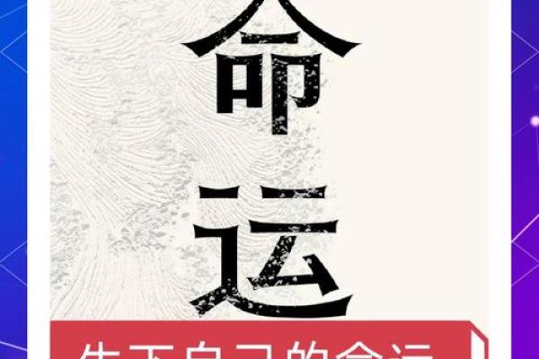 命不由己，逆境中寻找希望的启示