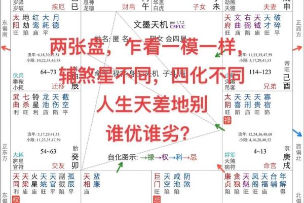 紫微命格揭秘：最佳命格与人生机遇的完美结合