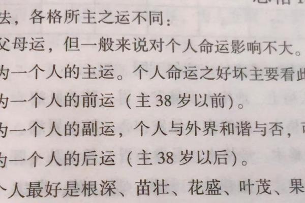 85年出生的人命格与克星分析：探秘命理人生的智慧之路