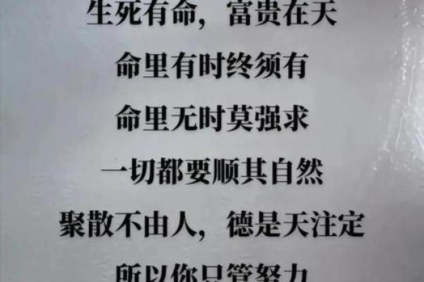 上天给你什么脸，就是什么命：人生的无常与命运的选择