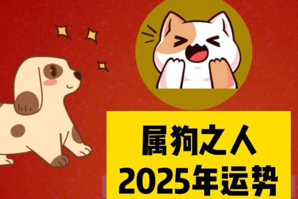 25岁属狗女性的命运分析与人生指导