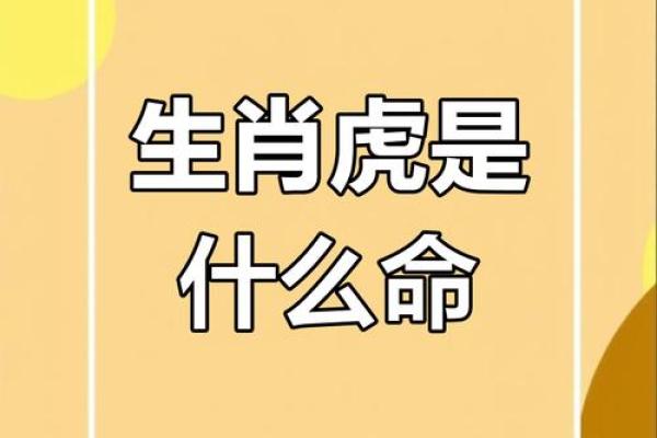 2022年虎年命运解析：破解生肖对你人生的影响与启示