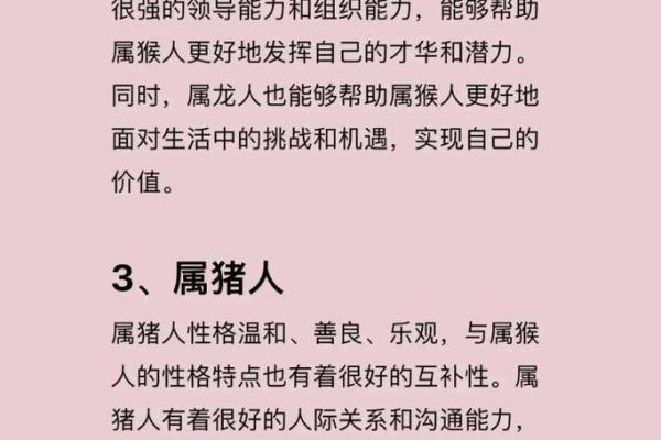 1968年属猴的人命运与性格分析：聪明机智的生肖魅力