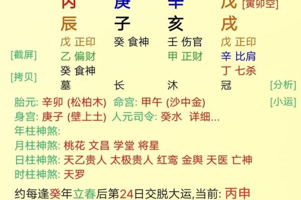 2002年命纳音解析：解读水猴年的秘境与智慧