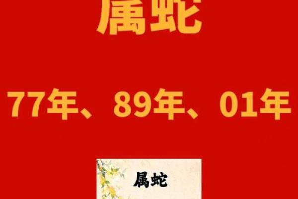 26岁属什么生肖？探秘生肖与命运的奥秘！