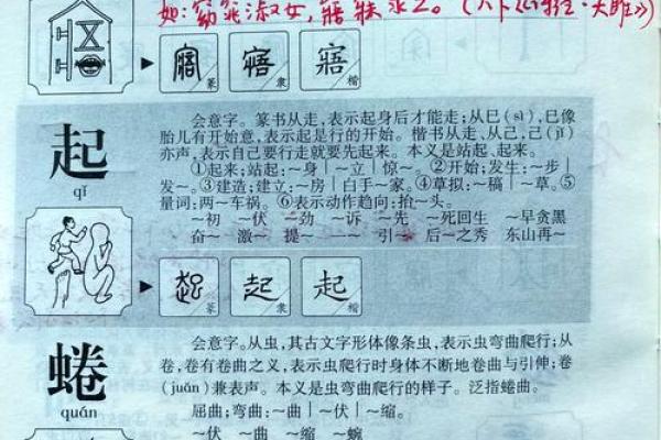 1975水兔命缺什么：探索命理与自我提升的奥秘